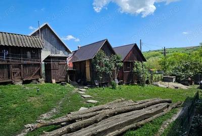 Casă cu 3 camere în Chiochiș - 9