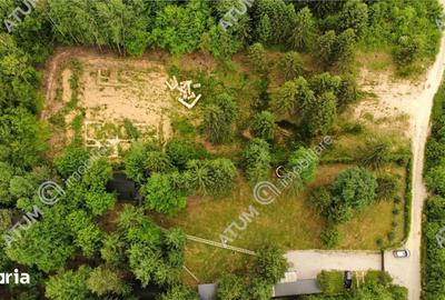Teren de 3000 mp, în Porumbacu de Jos - 7