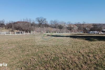Teren de 4700 mp, în Brusturi - 1