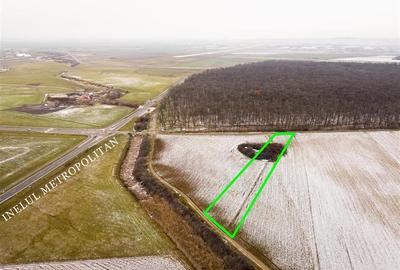 Teren intravilan de 4200 mp, în Nojorid - 1