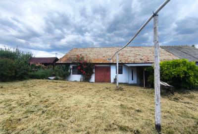 Casă individuală cu 2 camere cu Teren 7592 Mp în Dochia - 6