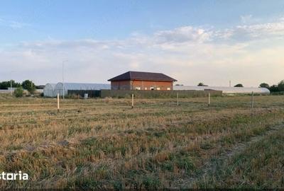 Teren de 1148 mp, în Copăceni