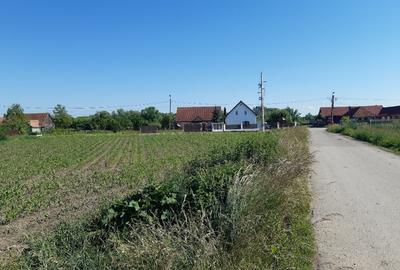 Teren Construcții intravilan de 5000 mp, în Prejmer - 7