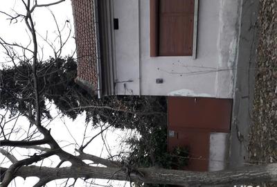 Teren de 2200 mp, în Fratelia - 3