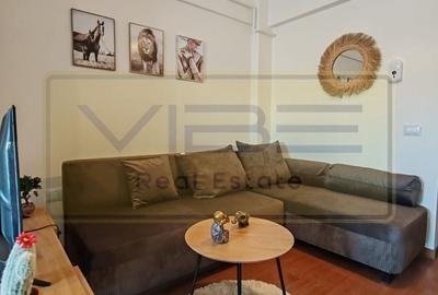Apartament cu 2 camere nedecomandat, mobilat în Vișani - 2