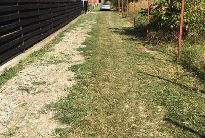 Casă cu Teren 184 Mp în Snagov - 2