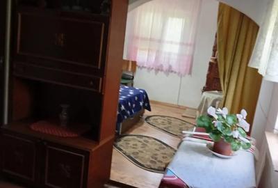 Casă cu 3 camere cu Teren 4880 Mp în Râu Alb de Sus - 1