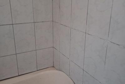 Apartament cu 2 camere decomandat în Boul Roșu - 3