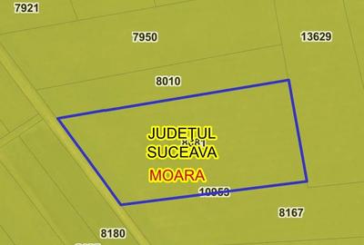 Teren de 6500 mp, în Central - 1