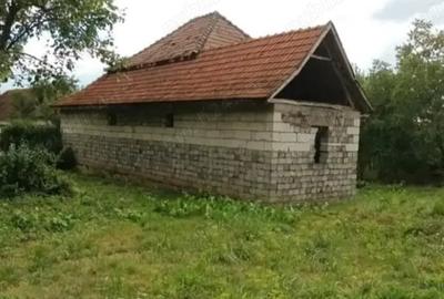 Casă cu 3 camere în Săliște - 1
