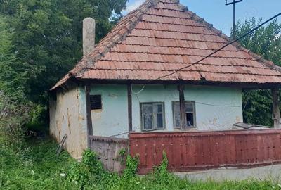 Casă în Central
