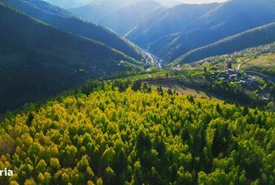 Casă cu 4 camere în Plopi - 3