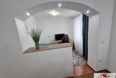 Casă individuală cu 3 camere cu Teren 4700 Mp în Vințu de Jos - 2