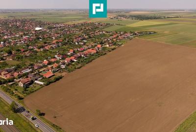 Teren de 28500 mp, în Șofronea - 5