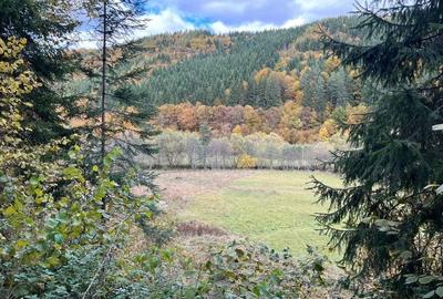 Teren de 5600 mp, în Vărșag - 8