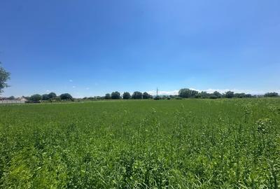 Teren Construcții intravilan de 29100 mp, în Vințu de Jos - 1