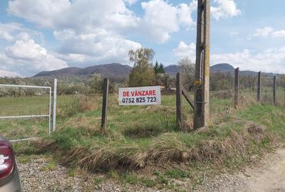 Spațiu comercial, în Ibănești - 8