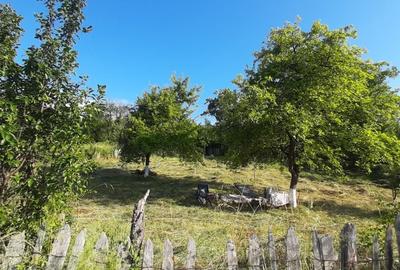 Teren de 410 mp, în Lelese - 5