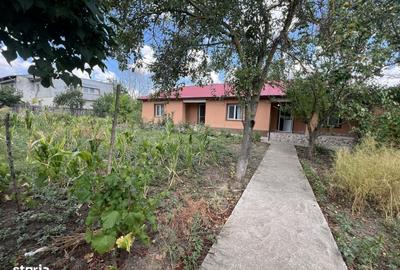 Casă cu 4 camere în Valea Bujorului
