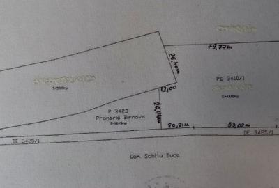 Teren agricol extravilan de 4400 mp, în Păun - 11