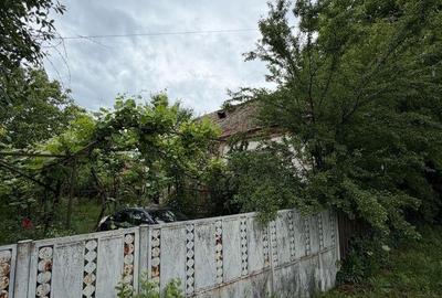 Casă individuală cu 3 camere cu Teren 3000 Mp în Covei