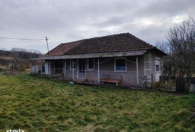 Casă cu Teren 6300 Mp în Abram - 6