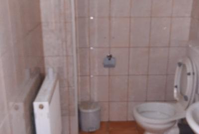 Spațiu comercial, de 290 mp, în Banu Manta - 3