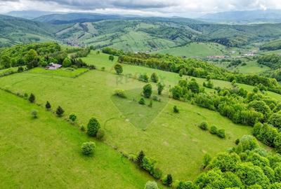Teren extravilan de 5755 mp, în Sita Buzăului - 2