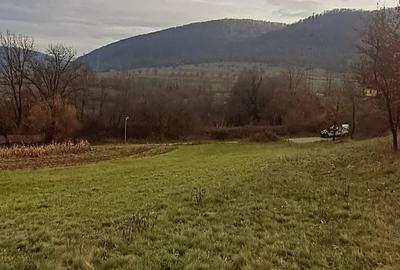 Teren de 3380 mp, în Șoimuș - 6