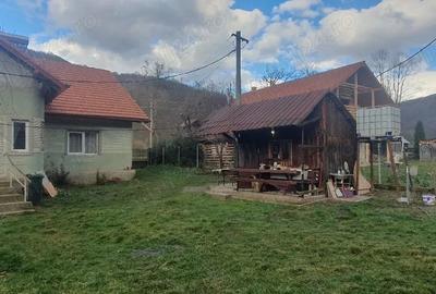 Casă cu Teren 3000 Mp în Dăbâca - 4