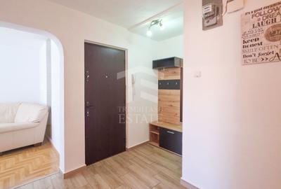 Apartament cu 3 camere decomandat, mobilat în Gorjului - 13
