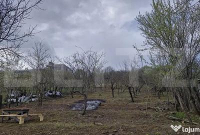 Teren de 2500 mp, în Viișoara - 3