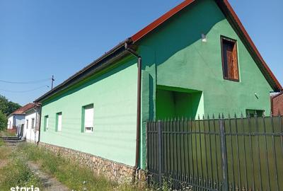 Casă cu 4 camere cu Teren 2877 Mp în Brazii