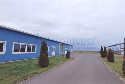 Spațiu industrial, de 3,417 mp, în Biharia - 2