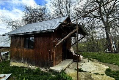 Casă individuală cu 4 camere cu Teren 2500 Mp în Podul Vadului - 7
