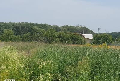 Teren de 1000 mp, în Balotești - 18