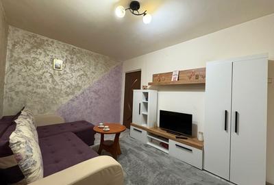 Apartament cu 2 camere semidecomandat, mobilat în Mureșeni