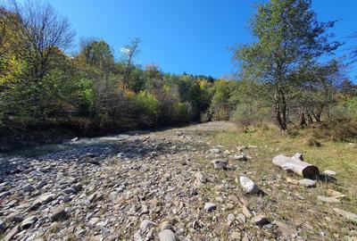 Teren agricol extravilan de 9000 mp, în Babarunca - 5