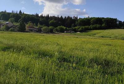 Casă cu 2 camere în Colonia 1 Mai