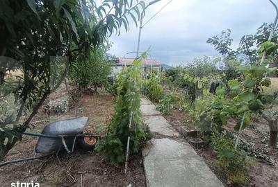 Casă cu 2 camere cu Teren 450 Mp în Ilieni