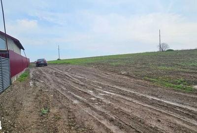 Teren de 6000 mp, în Șendreni - 2