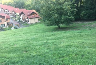Teren Construcții intravilan de 2900 mp, în Dârste