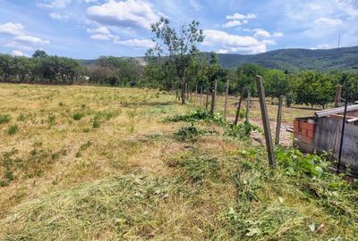 Casă cu 3 camere în Mâsca - 4