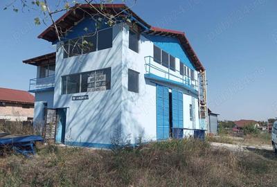Teren de 2500 mp, în Tismana - 6