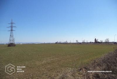 Teren agricol extravilan de 16055 mp, în 6 Vânători - 5