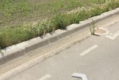 Teren de 10000 mp, în Acâș - 3