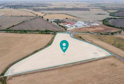 Teren agricol extravilan de 31383 mp, în Dudeștii Noi - 12