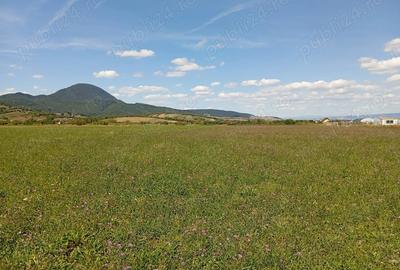 Teren de 1000 mp, în Vulcan - 4