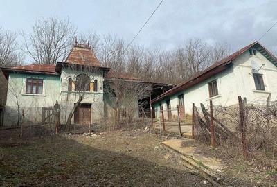 Casă cu 6 camere cu Teren 1700 Mp în Melinești - 3