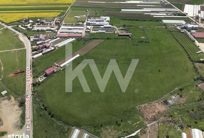 Teren de 95000 mp, în Băleni - 3